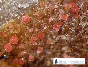 Erythrin Foto