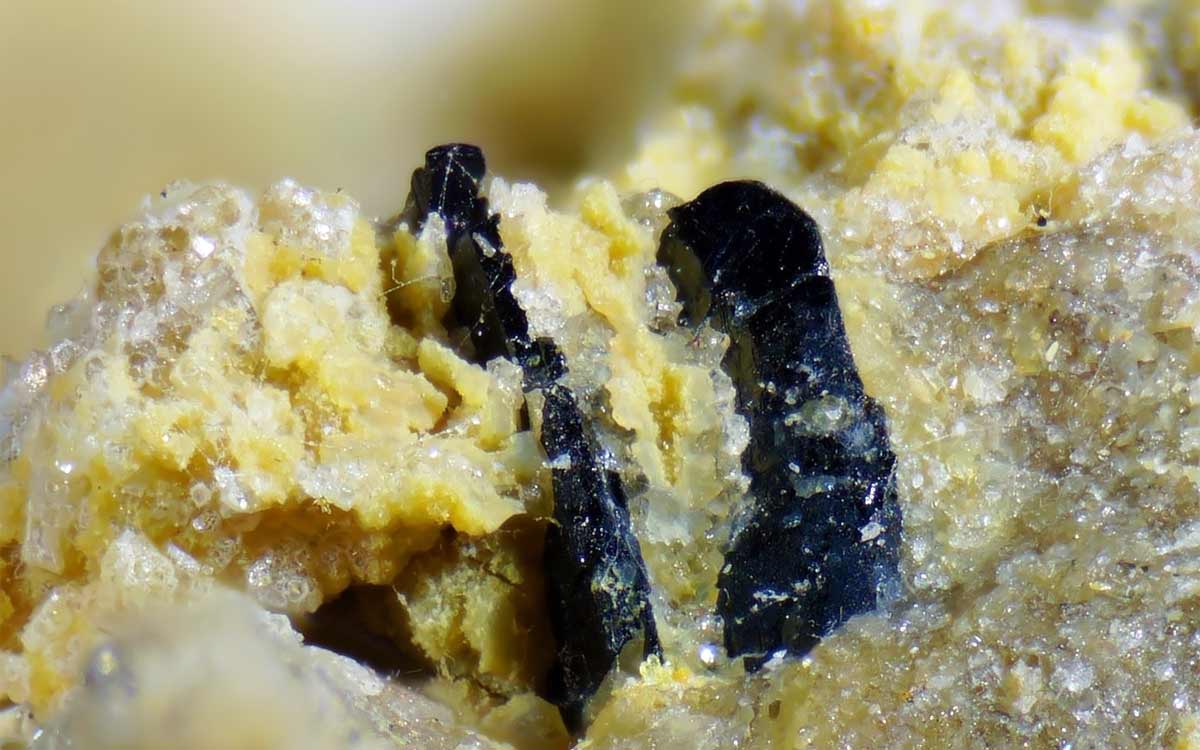 Columbit Mineral