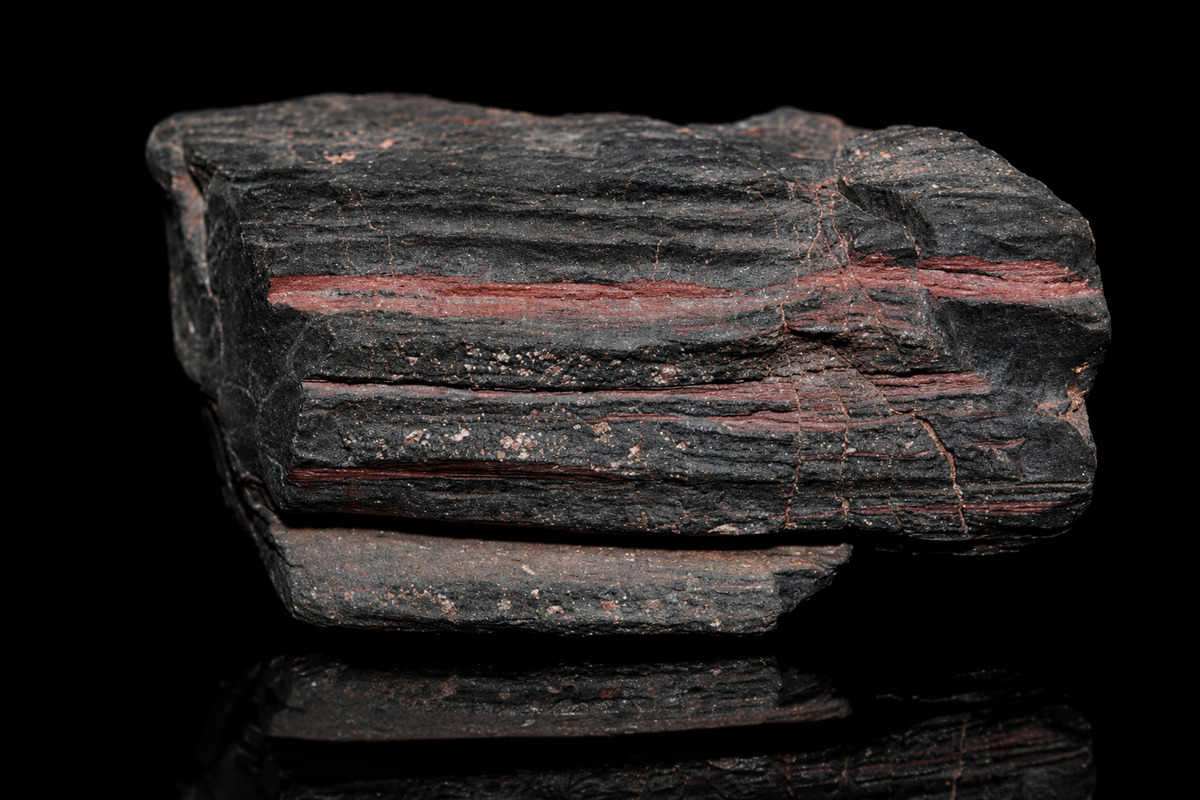 versteinertes_holz - Mineral und Kristalle