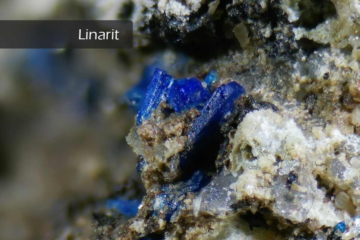 Kupfermineral Linarit