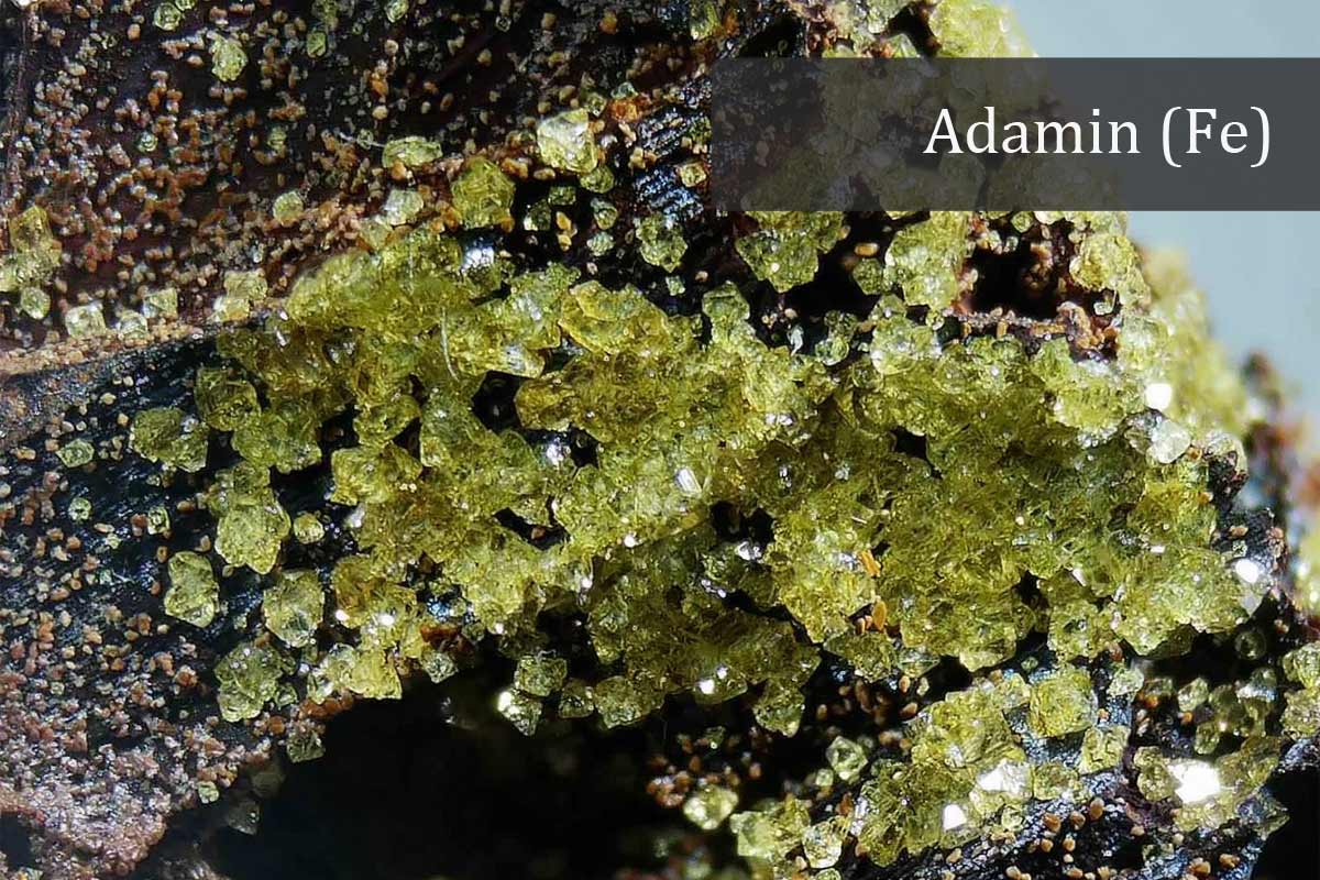 Fe-Adamin