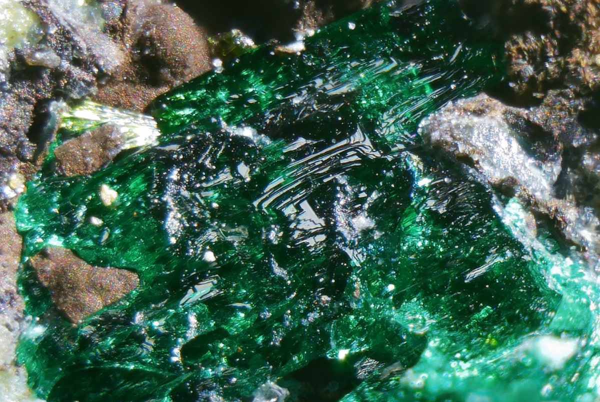 Atacamit - derbe grüne Kristalle