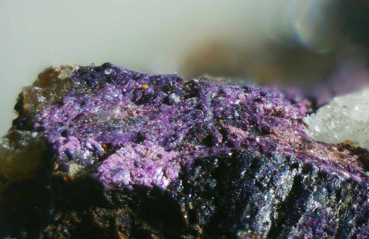 Heterosit