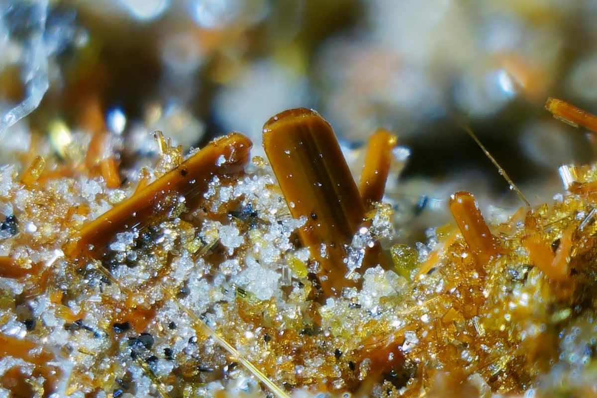 Das Mineral Kaersutit