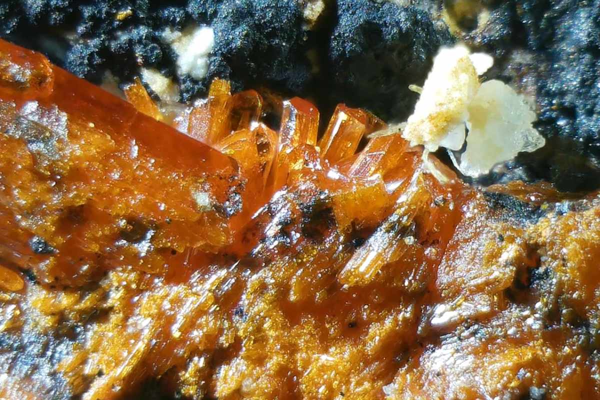 Krokoit aus Tasmanien