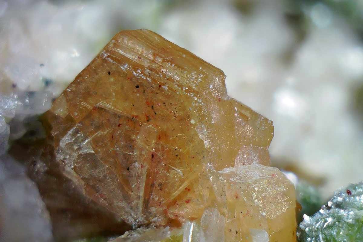 Synchisit